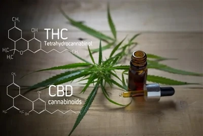 Огляд індустрії CBD & THC VAPE: Останнє повне посібник