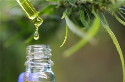 CBD проти THC: Все, що вам потрібно знати